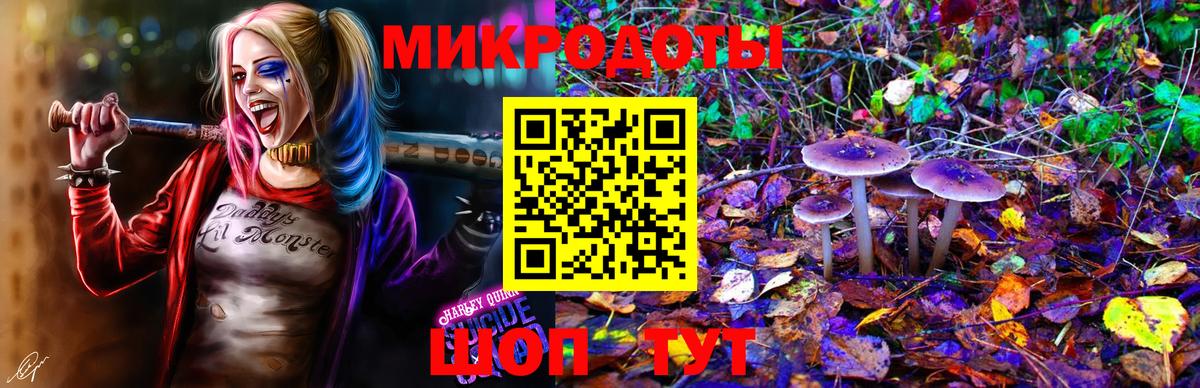 Петропавловск-Камчатский  Псилоцибиновые грибы ЛСД  Псилоцибиновые грибы ЛСД  Вход с VPN 
